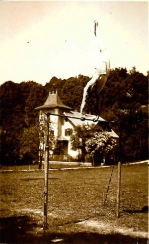 Sepp Osterberger Reck.JPG