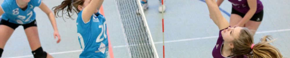 Volleyball
