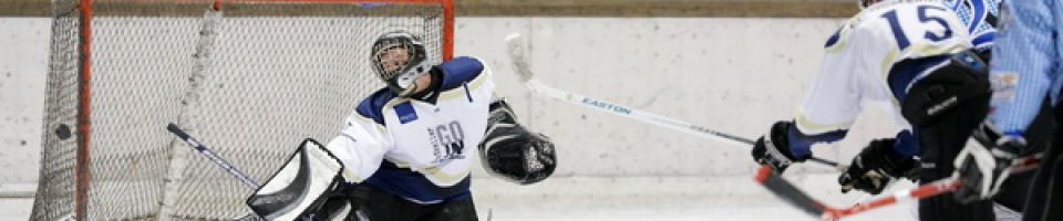Eishockey